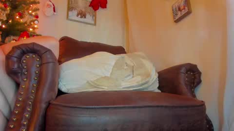 Snapshot of danidollxxx chatting on November 11, 2025, 2:55 am danidollxxx online show from November 11, 2025, 2:55 am