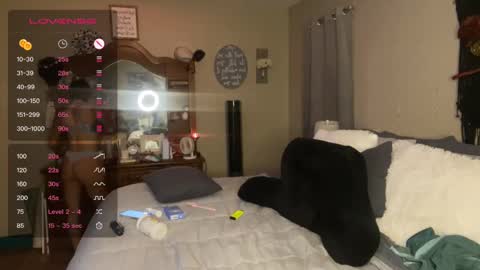 Snapshot of danidragon69 chatting on December 2, 2024, 12:19 am Dani Dragon online show from December 2, 2024, 12:19 am