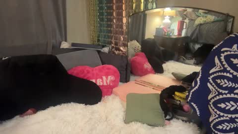 Snapshot of danidragon69 chatting on February 5, 2025, 8:32 am Dani Dragon online show from February 5, 2025, 8:32 am