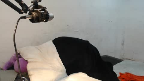 danielitopapii online show from December 13, 2024, 6:49 pm