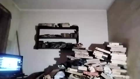 danitacrs online show from March 23, 2026, 2:48 am