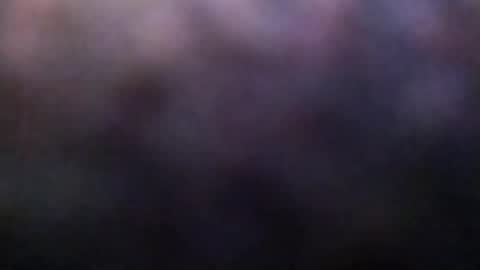 Snapshot of dannowisc chatting on February 23, 2026, 2:20 am dannowisc online show from February 23, 2026, 2:20 am