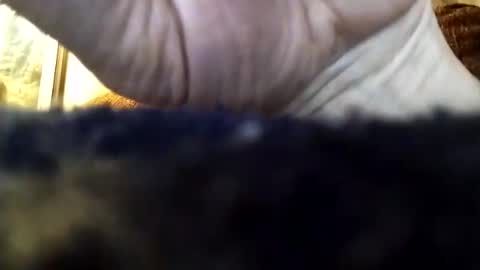 dannowisc online show from April 5, 2026, 3:26 am