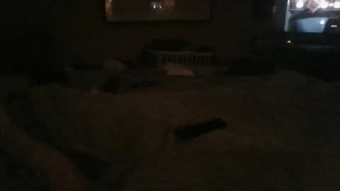 Snapshot of dannyb618 chatting on December 24, 2024, 2:43 am Danielle online show from December 24, 2024, 2:43 am