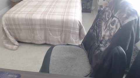 Danny bear online show from March 9, 2025, 11:14 pm