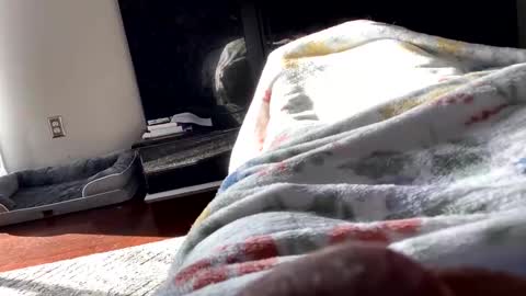 Snapshot of dannyboy621 chatting on November 6, 2025, 1:56 pm dannyboy621 online show from November 6, 2025, 1:56 pm