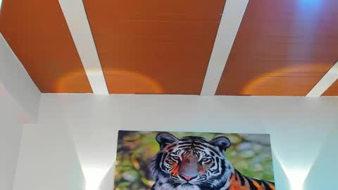 Snapshot of dante_adamss chatting on March 6, 2025, 2:51 am DANTE online show from March 6, 2025, 2:51 am