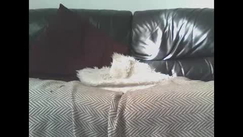 DaRealDonDaddy online show from March 9, 2025, 11:58 am