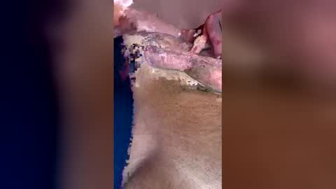 darklight69s25 online show from April 12, 2026, 3:28 pm