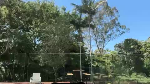 dartanian0001 online show from September 30, 2025, 2:05 am