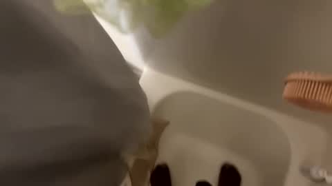 dasquirtmaster online show from March 29, 2026, 10:43 pm