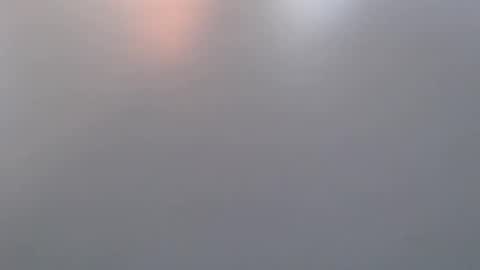 davdao3 online show from March 19, 2026, 7:01 am