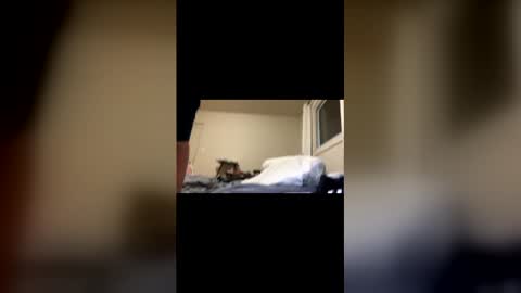 Snapshot of davenohere chatting on February 22, 2026, 11:20 am Exhibit A online show from February 22, 2026, 11:20 am