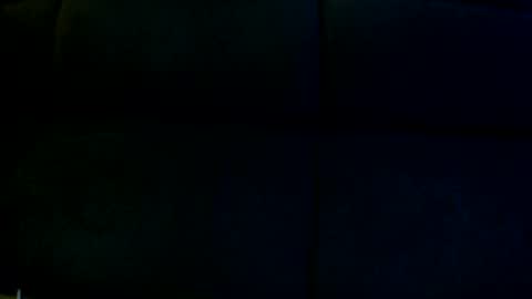 Snapshot of davesbabe14 chatting on December 26, 2024, 4:25 pm Sophie Dave online show from December 26, 2024, 4:25 pm