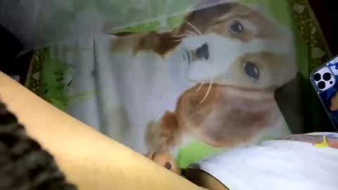 Snapshot of davzsoher chatting on January 10, 2025, 2:04 am davzsoher online show from January 10, 2025, 2:04 am