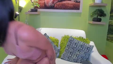 dayan_torres online show from May 11, 2026, 2:45 pm