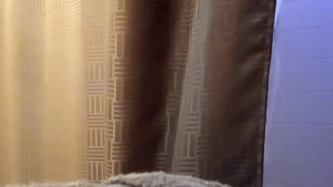 Snapshot of dbossxtina chatting on November 12, 2025, 8:48 am dbossxtina online show from November 12, 2025, 8:48 am