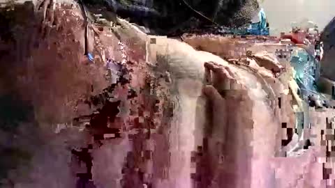 decoyx5o5 online show from January 9, 2025, 1:18 am