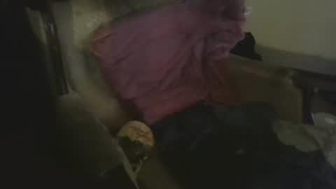 Snapshot of definitely111 chatting on February 15, 2025, 11:17 am definitely111 online show from February 15, 2025, 11:17 am