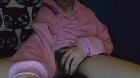 Snapshot of dekustick__ chatting on January 9, 2025, 7:42 am CozyClementine online show from January 9, 2025, 7:42 am