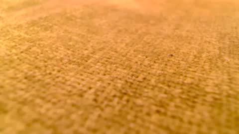 Snapshot of deliciaalove chatting on December 17, 2024, 7:37 pm deliciaalove online show from December 17, 2024, 7:37 pm