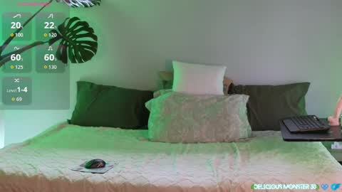 Kitty online show from March 17, 2026, 6:17 am