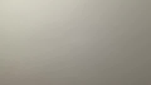 Snapshot of deliverysmile chatting on December 19, 2024, 12:34 am Delivery online show from December 19, 2024, 12:34 am