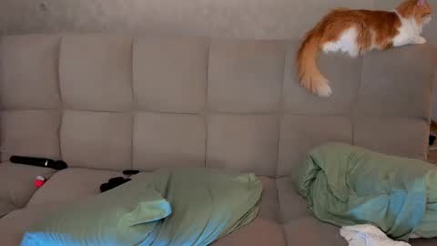 Victoria and Nara twitterinstagram dementra rawrr online show from March 8, 2025, 2:55 am