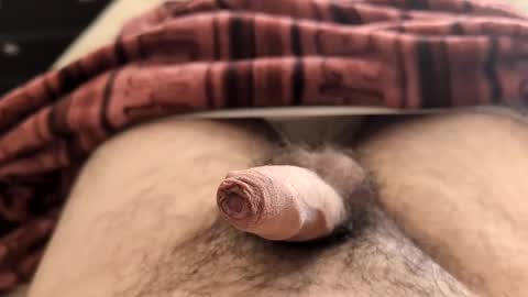 LilRoach online show from February 5, 2025, 2:26 pm