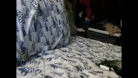 Snapshot of deroseblack chatting on January 13, 2025, 4:50 am deroseblack online show from January 13, 2025, 4:50 am