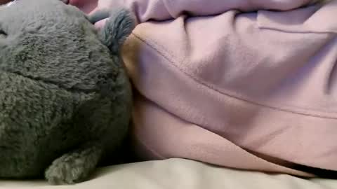 Snapshot of deroseblack chatting on February 10, 2025, 6:20 am deroseblack online show from February 10, 2025, 6:20 am