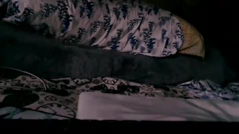 Snapshot of deroseblack chatting on February 18, 2025, 10:25 pm deroseblack online show from February 18, 2025, 10:25 pm