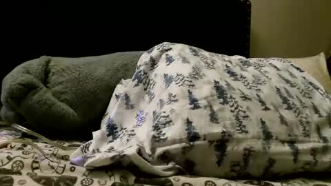 Snapshot of deroseblack chatting on February 24, 2025, 5:22 am deroseblack online show from February 24, 2025, 5:22 am