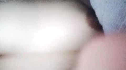 Snapshot of desurvv0999 chatting on November 19, 2025, 8:03 am desurvv0999 online show from November 19, 2025, 8:03 am