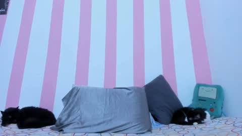 Johana online show from March 17, 2026, 2:16 am