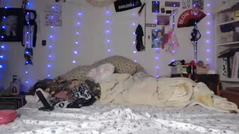 Snapshot of devilg1rl chatting on January 29, 2025, 7:36 am poutyangel online show from January 29, 2025, 7:36 am