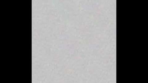 Snapshot of dgbrutus chatting on December 22, 2025, 8:00 am dogbrutus online show from December 22, 2025, 8:00 am