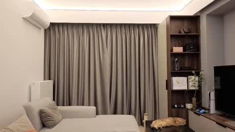 Iris online show from December 13, 2025, 9:09 pm