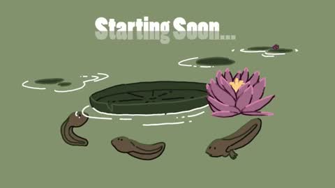 Snapshot of diana_smit_ chatting on January 18, 2025, 2:55 pm diana online show from January 18, 2025, 2:55 pm