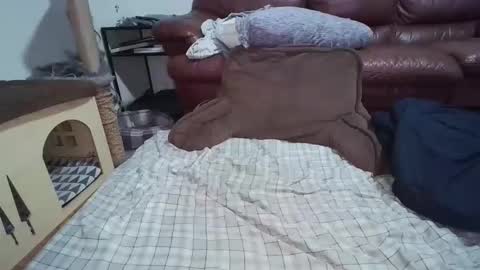 Snapshot of dickslayerdan chatting on November 22, 2025, 12:31 am dickslayerdan online show from November 22, 2025, 12:31 am