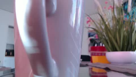 Snapshot of didiegal1 chatting on March 4, 2026, 11:49 am squirtcock online show from March 4, 2026, 11:49 am