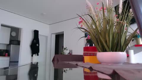 Snapshot of didiegal1 chatting on April 2, 2026, 10:57 am squirtcock online show from April 2, 2026, 10:57 am