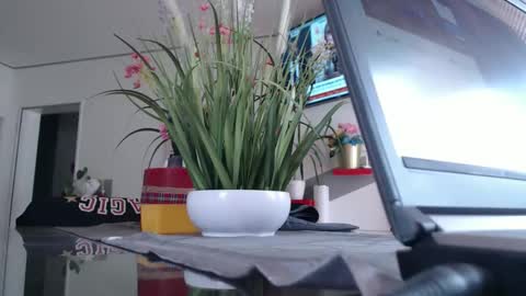 Snapshot of didiegal1 chatting on May 6, 2026, 11:15 am squirtcock online show from May 6, 2026, 11:15 am
