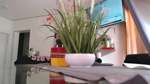 Snapshot of didiegal1 chatting on May 8, 2026, 10:53 am squirtcock online show from May 8, 2026, 10:53 am