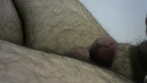 Snapshot of dilaradagci chatting on December 28, 2024, 4:09 pm Bob online show from December 28, 2024, 4:09 pm