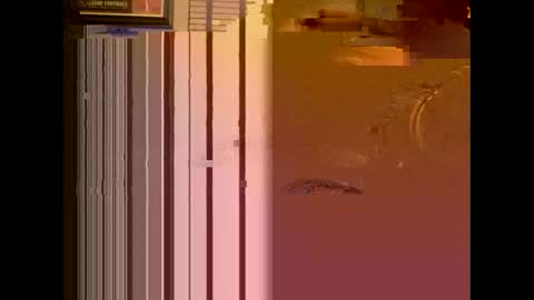 dildosnme22 online show from January 13, 2025, 11:08 am