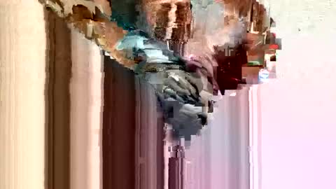 dirtmcgirt82 online show from February 11, 2025, 5:26 am