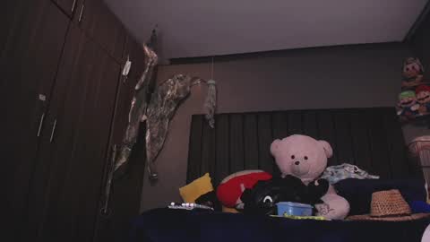 dirty_27cms online show from January 12, 2025, 9:08 pm