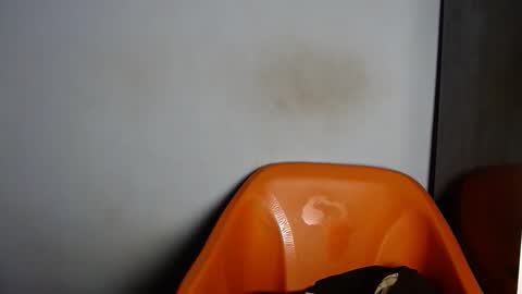 dirtydesirebabe online show from April 2, 2026, 2:20 am