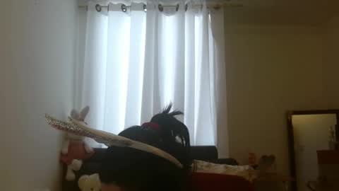 Snapshot of disneey2888 chatting on November 12, 2025, 8:19 pm disneey2888 online show from November 12, 2025, 8:19 pm